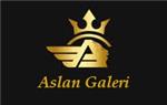 Aslan Galeri  - Kütahya